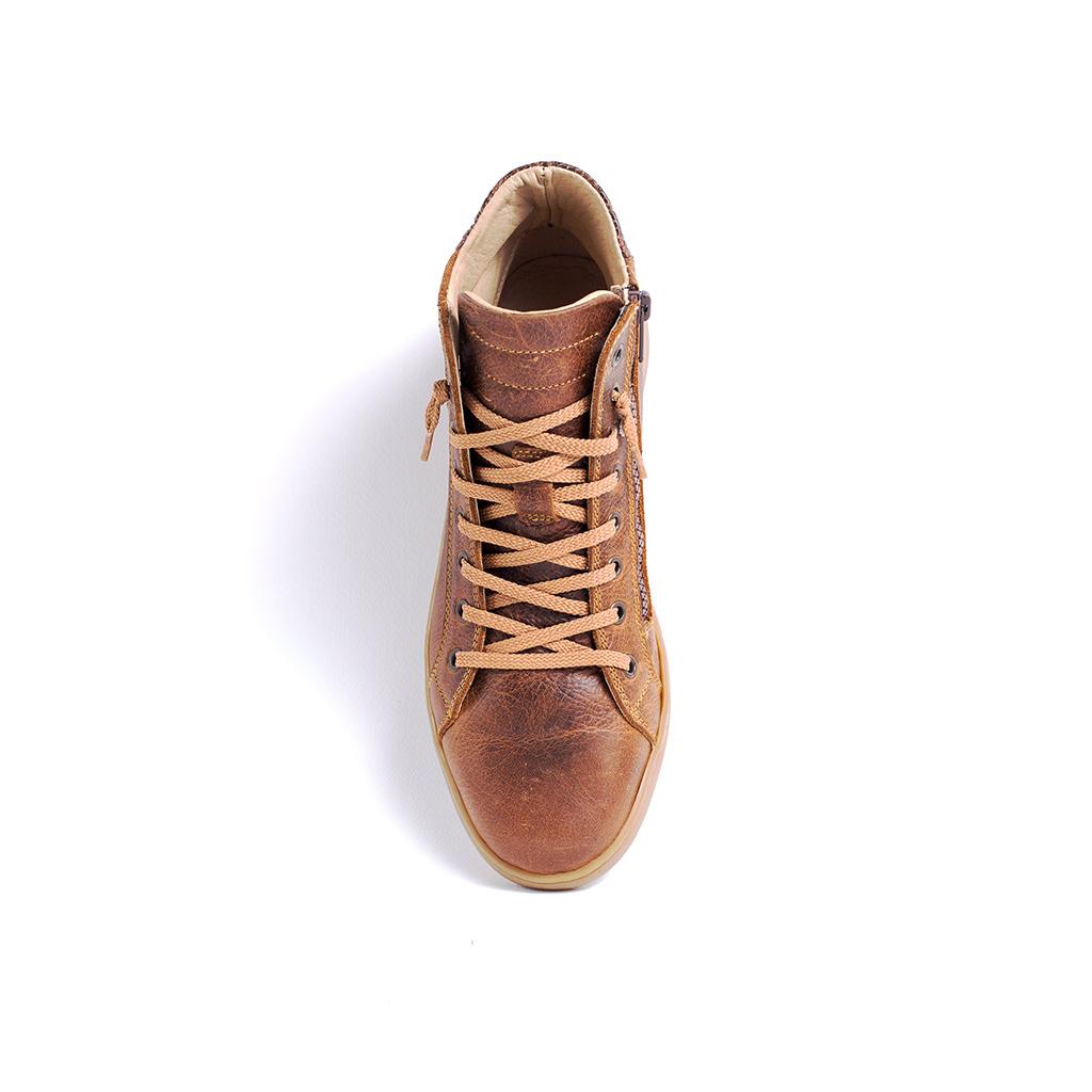 MMS003 Oil Brown
